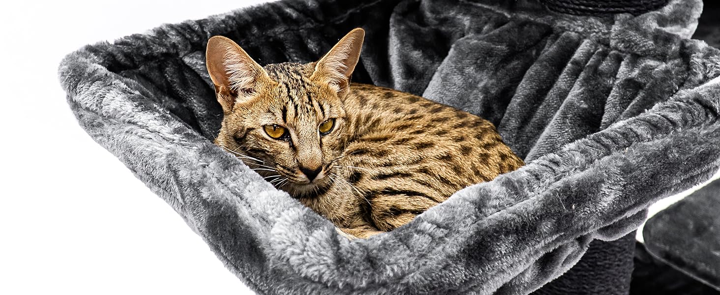 Дряпак для котів Petrebels Maine Coon, Estate, 170 см, XXL, чорний