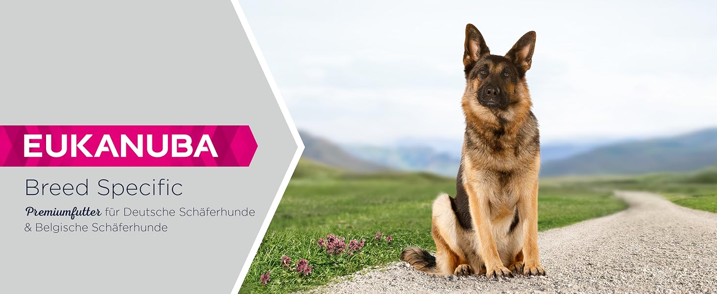 Сухий корм Eukanuba Breed Specific для німецьких вівчарок, 12 кг