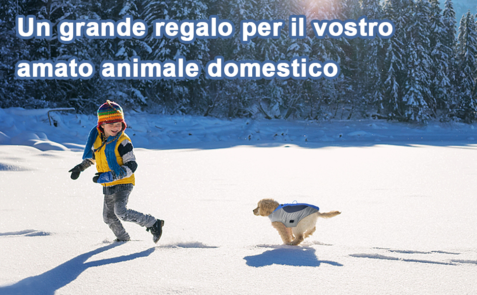 Підкладкова регульована куртка для собак, обігріваюча жилетка для собак з LED-підсвічуванням, зручна та вітронепроникна куртка для маленьких та середніх собак (XL, Синій та Сірий) XL Синій та Сірий