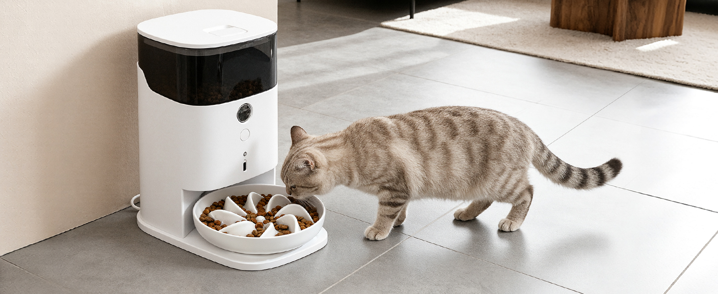 PETTOM Миска для котів протиковзаюча, піднята, керамічна, для повільного годування, біла. Підходить для котів та маленьких собак.