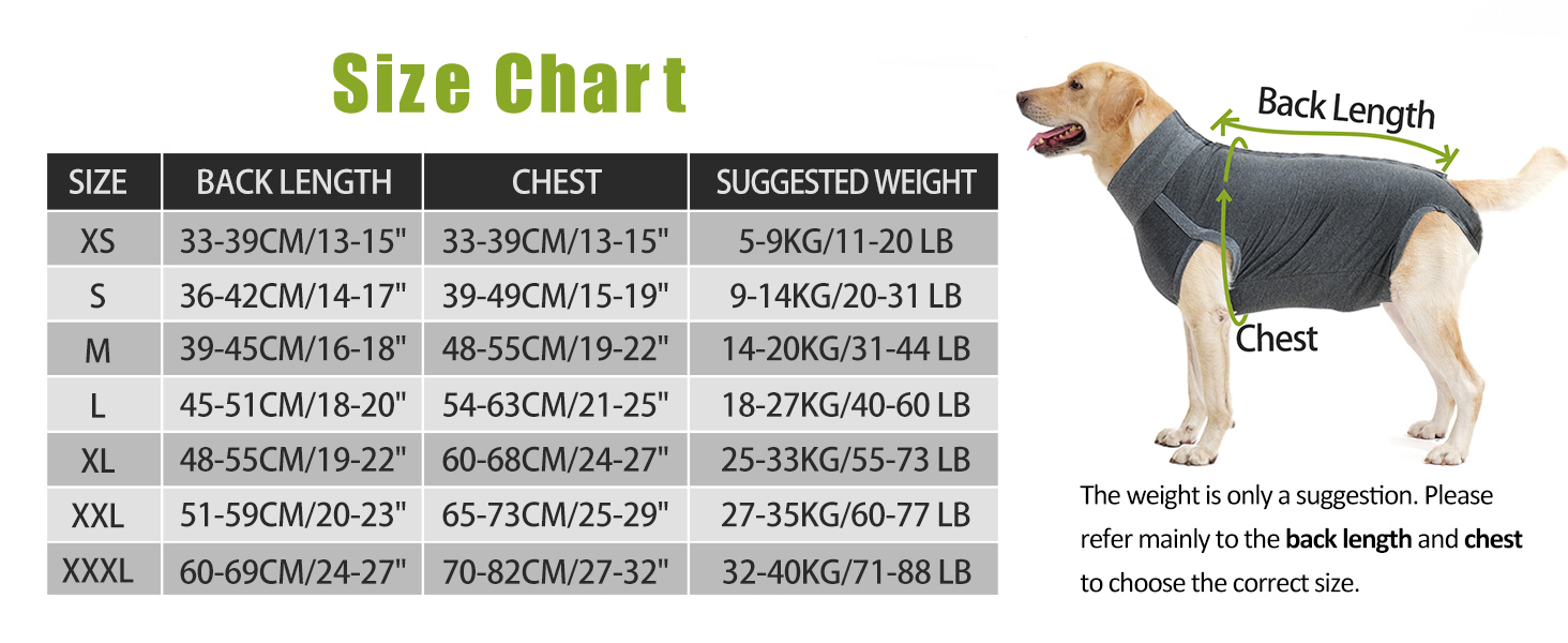 Комбінезон для собак після операцій Heywean – кастрація, стерилізація, післяопераційний одяг, сірий, L