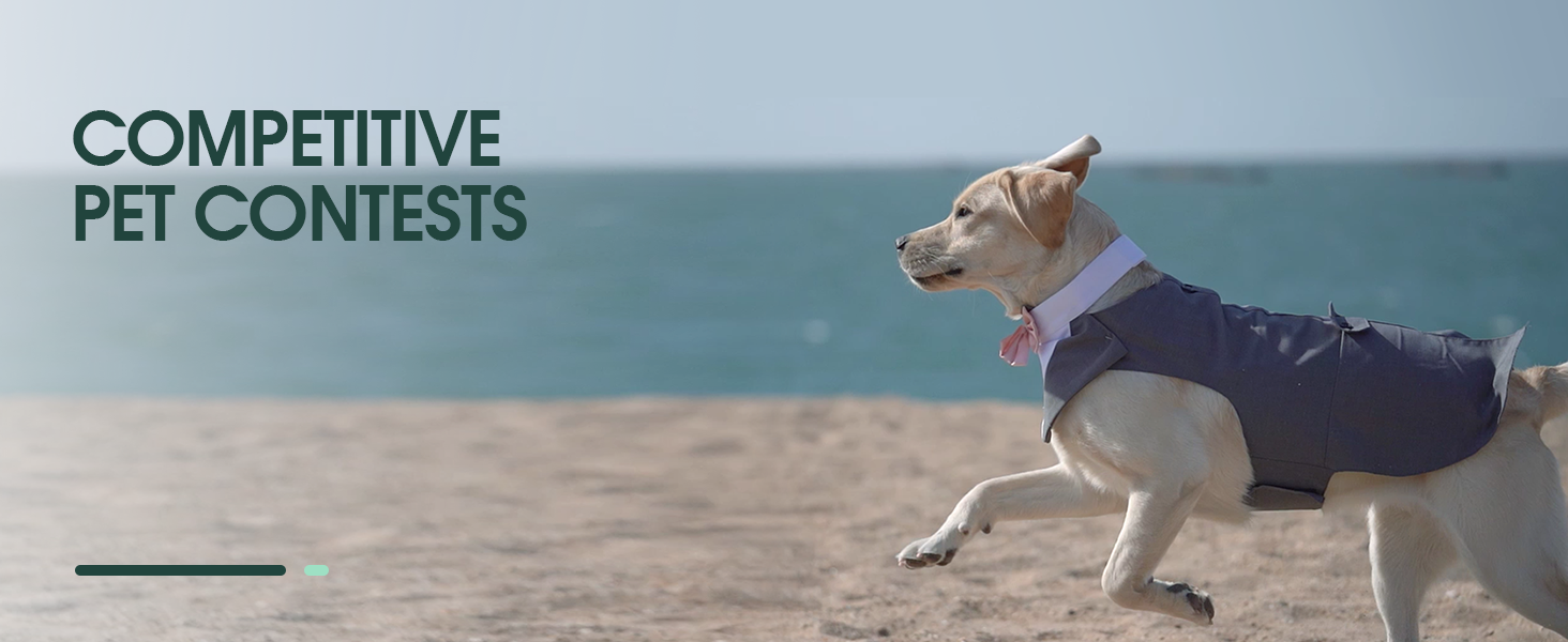 Костюм для собак Kuoser з банданою, теплий халат для собак з кріпленням для краватки, костюм для цуценят для собак, сорочка для вечірки на День народження, Хелловін, весілля, S-XXL, довжина спини M: 35 см, чорний