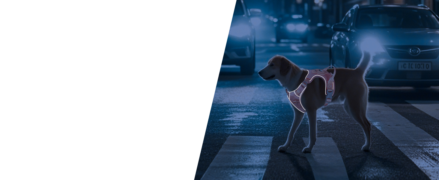 Шлейка для собак TSPRO з тримачем AirTag, регульована нагрудна стрічка для маленьких собак, з зручною ручкою, міцна та світловідбиваюча для прогулянок, бігу, тренувань (Зелена, розмір 2) Розмір 2 (обхват шиї 28.5-42 см, обхват грудей 42-53 см) Зелений