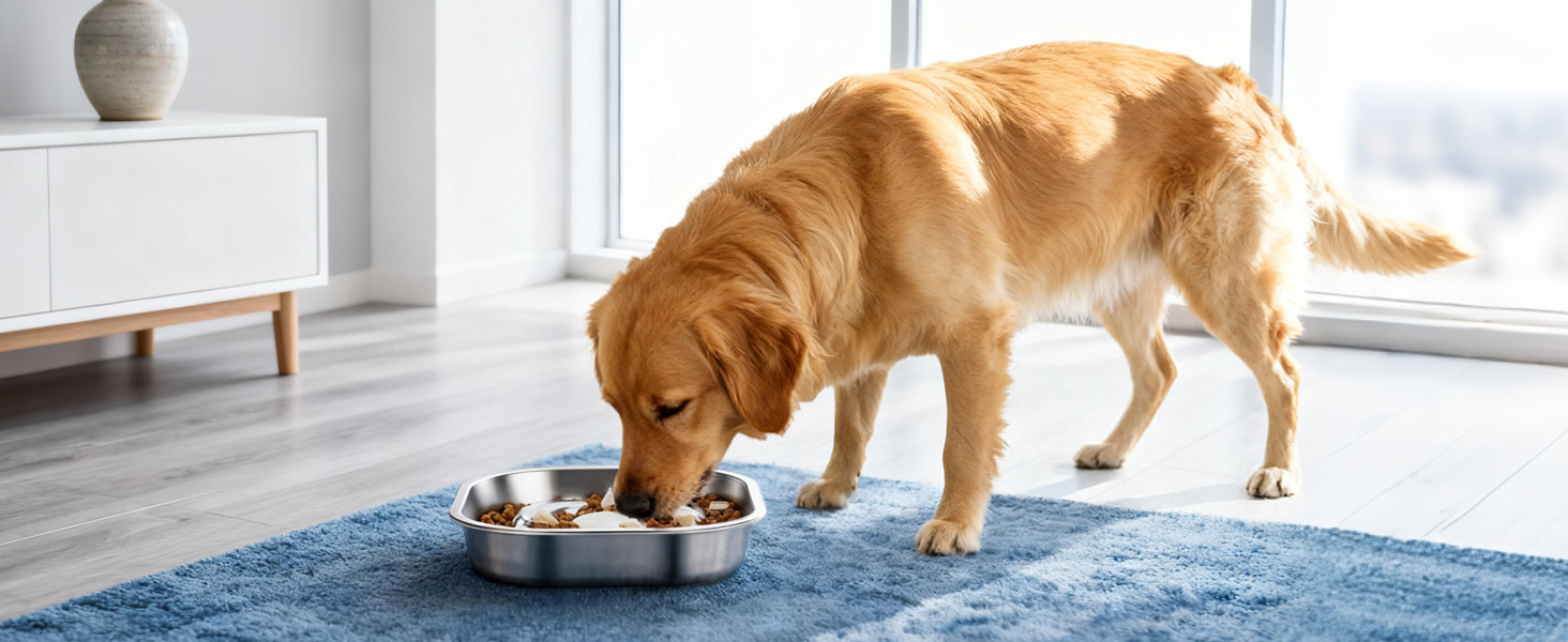 PETTOM Миска для собак протиковтання, нержавіюча сталь, Ø21 см, велика, повільне годування (23*23*4,5 см)