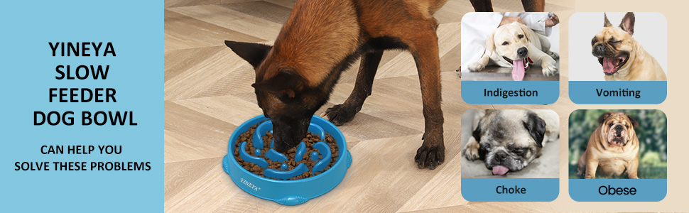 Набір мисок для собак, повільне годування, 2 шт. (магента, темно-синій)