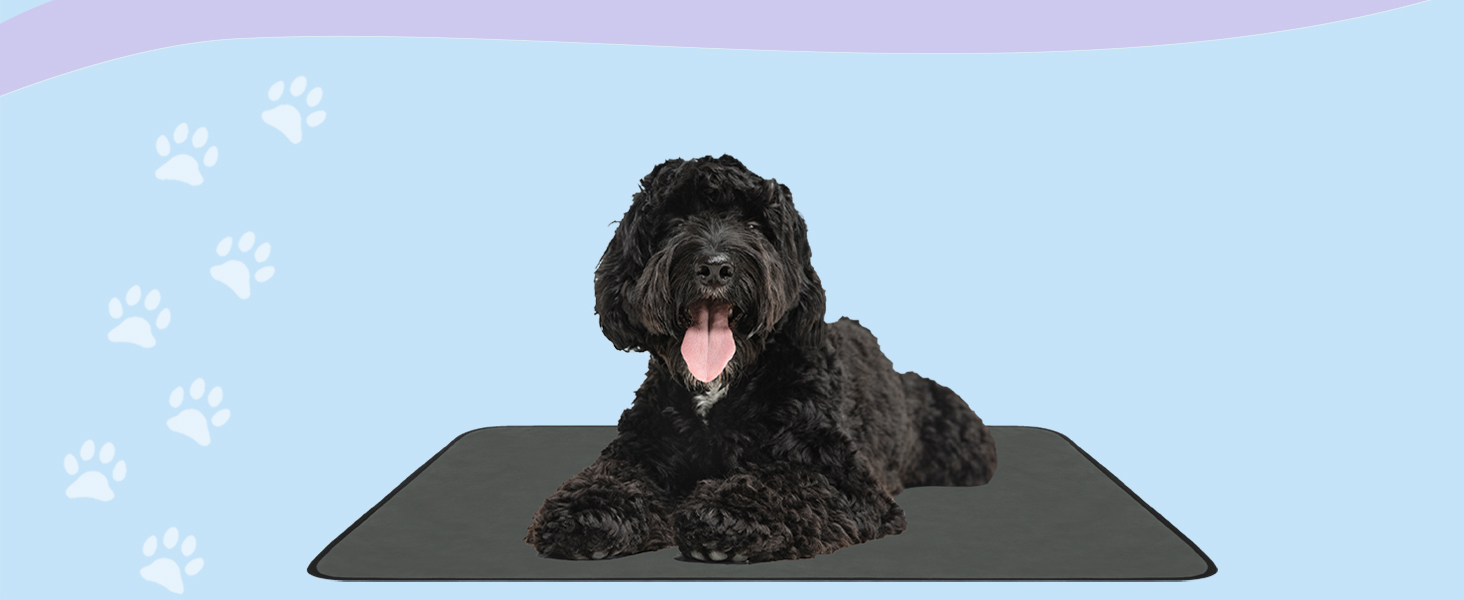 М'яка підстилка для собак Normani - підстилка для тварин з безпечного матеріалу, 40x50 см, 60x80 см, 70x100 см, бежева