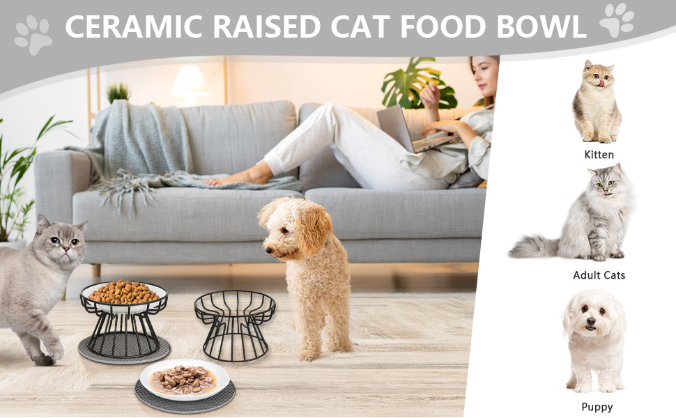Підвищені годівниці для котів Katzennapf Erhöht - 2 шт. Керамічні миски з підставкою, захист шиї, для корму та води