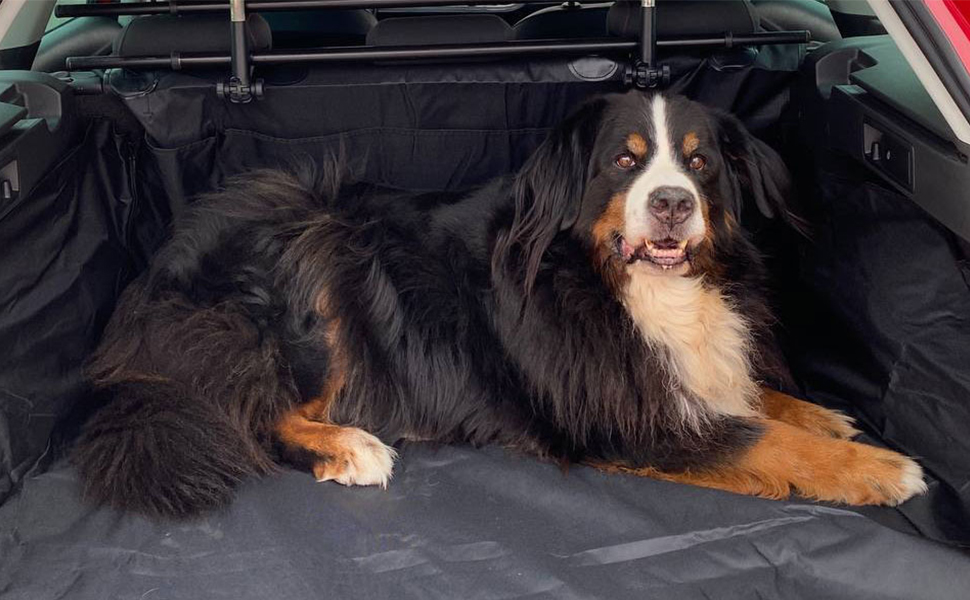 Захист для багажника авто: килимок для собак з боковим захистом, універсальний, вологостійкий, міцний