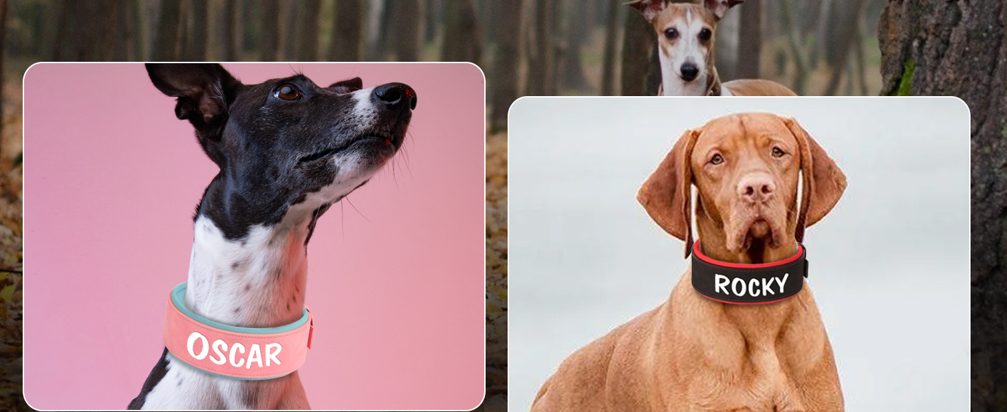 Нашийник для собак середніх та великих порід PET ARTIST з міцної шкіри PU, регульований, з металевою застібкою, для Пітбулів та великих собак, чорний, L (43-51 см)