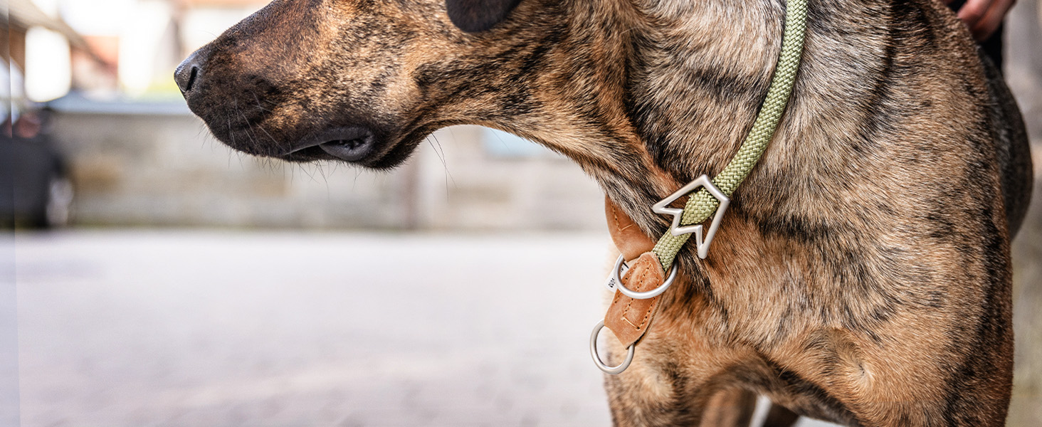 Нашийник для собак Rudelkönig Emma - Елегантний нашийник-стоп для собак з шкіри та нейлону, діаметр 12 мм, для великих собак, колір хакі