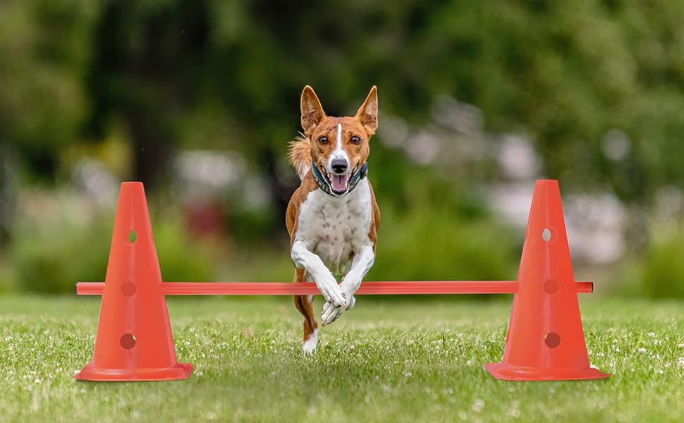 Набір для координації Bramble 18 шт. з сумкою - конуси та штанги для футболу, спорту, тренувань (діти, дорослі, собаки)