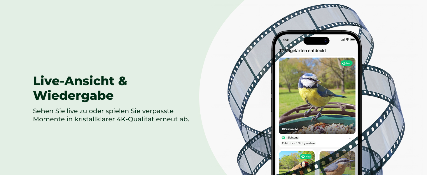 Розумний будиночок для птахів Kiwibit з 4K камерою, ШІ-розпізнаванням та зовнішньою сонячною панеллю (зелений)
