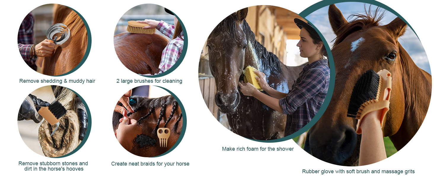 Набір для догляду за конем GHWMYD 13 предметів: щітки, гребінці, інструменти для грумінгу