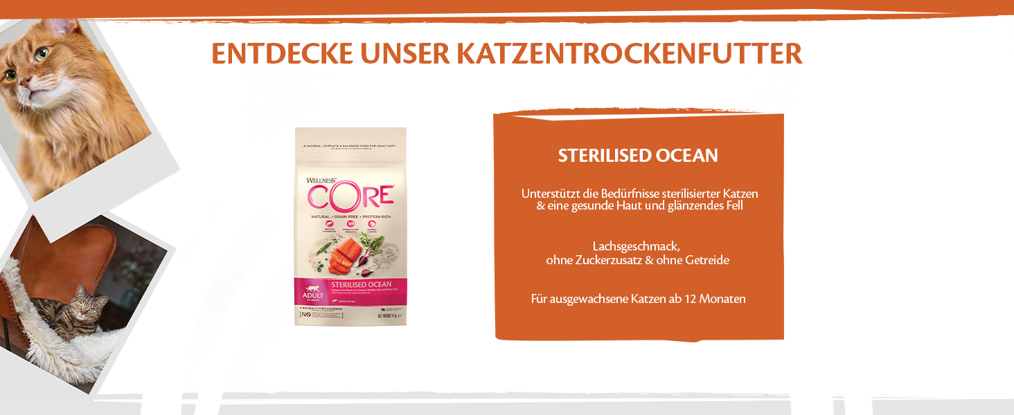 Сухий корм для котів Wellness CORE Original з куркою та індиком, 4 кг