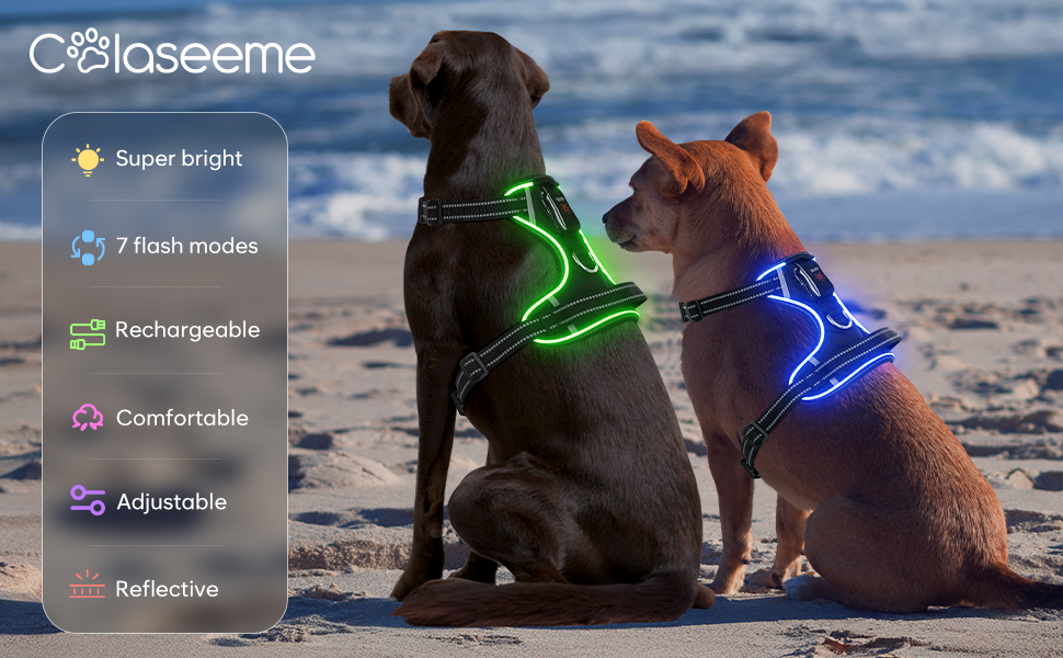 Світловідбиваючий жилет для собак Colaseeme Light з LED-підсвічуванням, регульований, чорний, розмір S