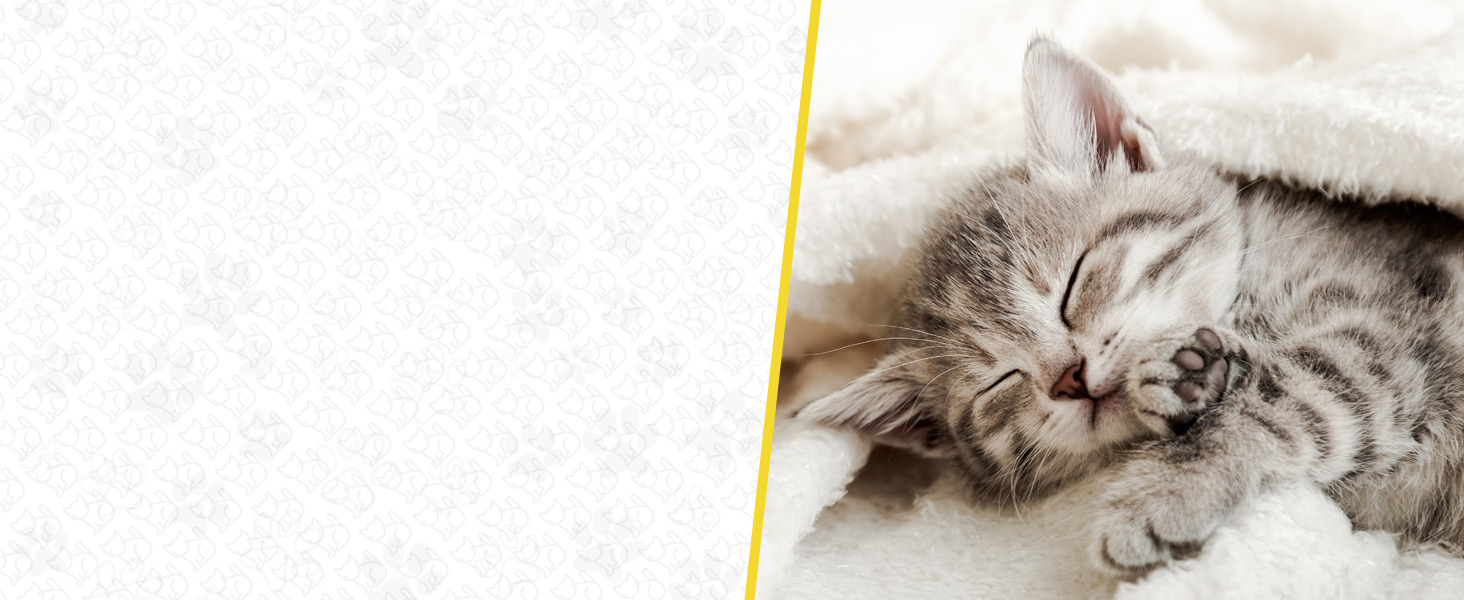 Шліфувальник кігтів для собак Candure: тихий, акумуляторний, з LED-підсвічуванням та змінним насадженням. Підходить для собак всіх розмірів (XS, жовтий)