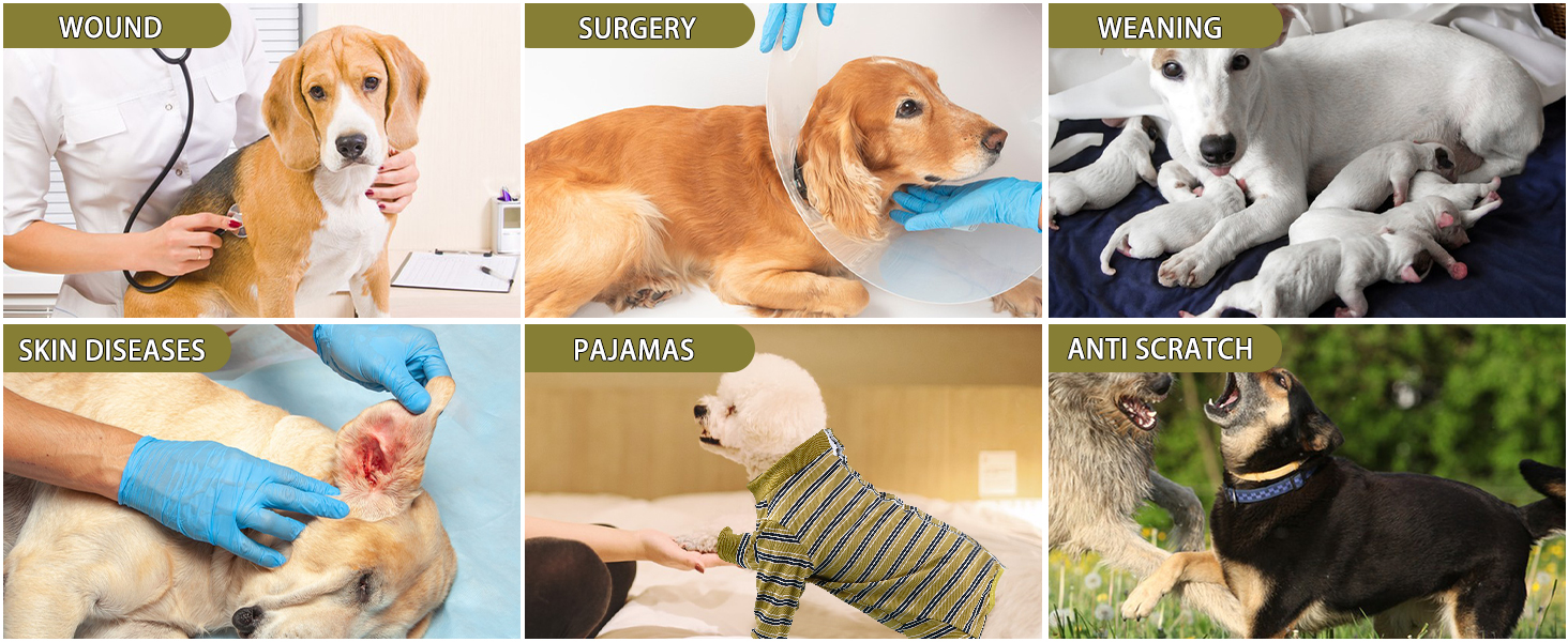 Захисний одяг для собак після операції: комбінезон для відновлення після кастрації/стерилізації (XXL, гірчичний)