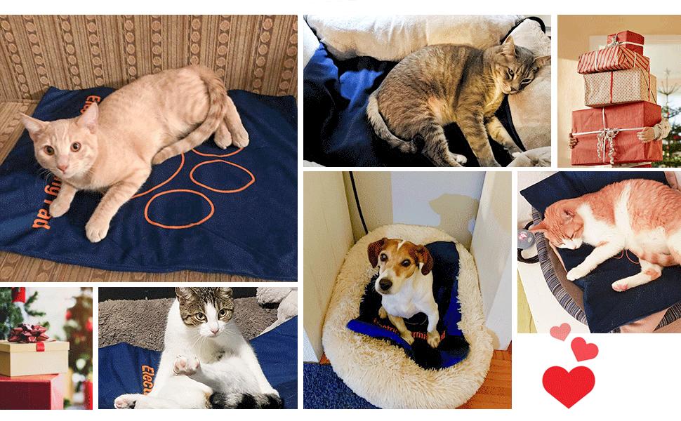 Килимок для кота 