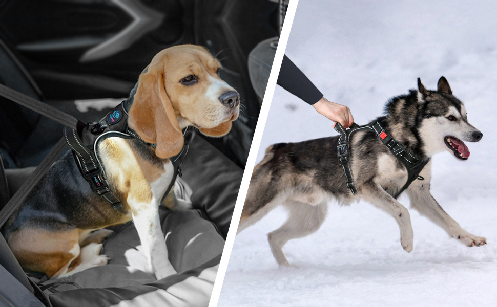 Шлейка для собак PHOEPET No Pull, чорна, L - регульована, з контролем, для прогулянок