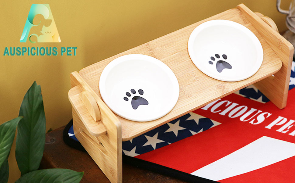 Миска для котів, піднята керамічна миска для котів та маленьких собак, набір мисок для котів та собак, миски для котів (включно зі стійкою)