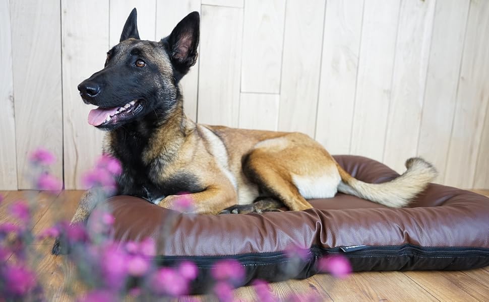 Крісло-ліжко для собак середніх порід Ella від 4L Textil: водостійке, з штучної шкіри, 90x70 см, графіт