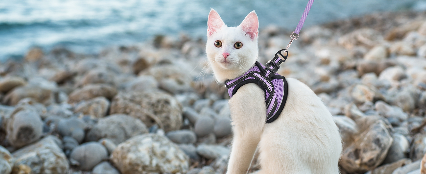 Нашийник та поводок для котів Rabbitgoo: безпечний, регульований, з відбиваючими смугами, для кошенят та дорослих котів, розмір M, світло-фіолетовий