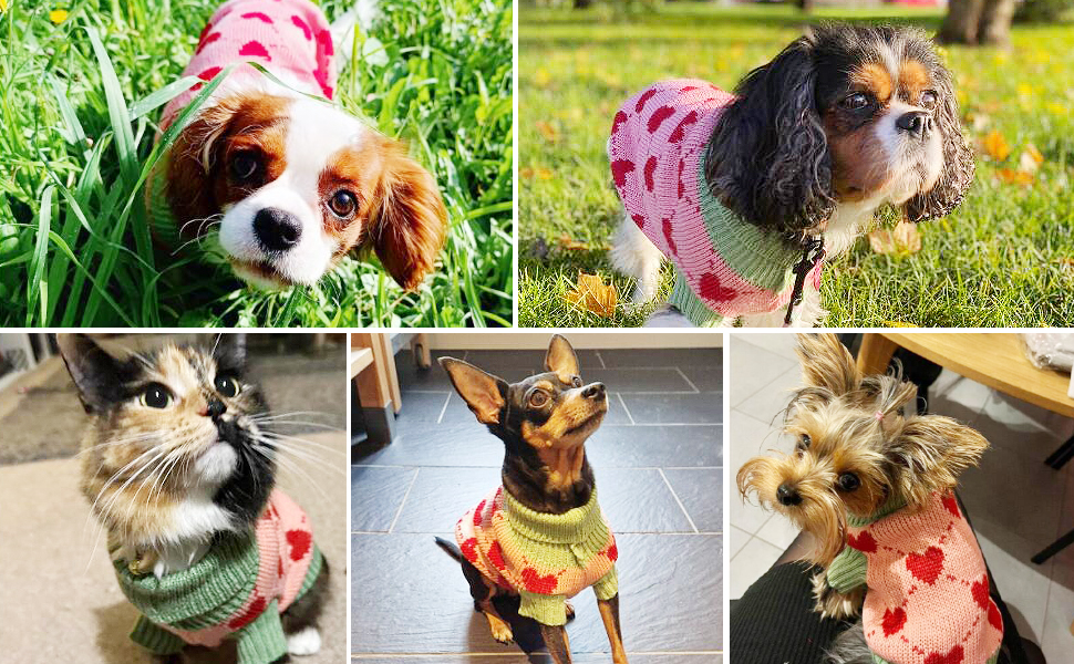 Пуловер для собак, теплий зимовий светр з візерунком, для цуценят та котів (L, Синій) L Синій