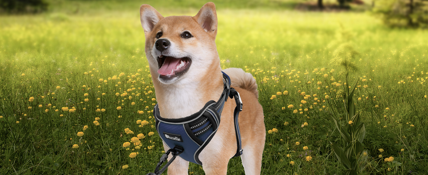 Шлейка для собак середніх порід Bluzelle з ручкою та кишенею для GPS-трекера, світловідбиваюча, зелена (XS, синій)