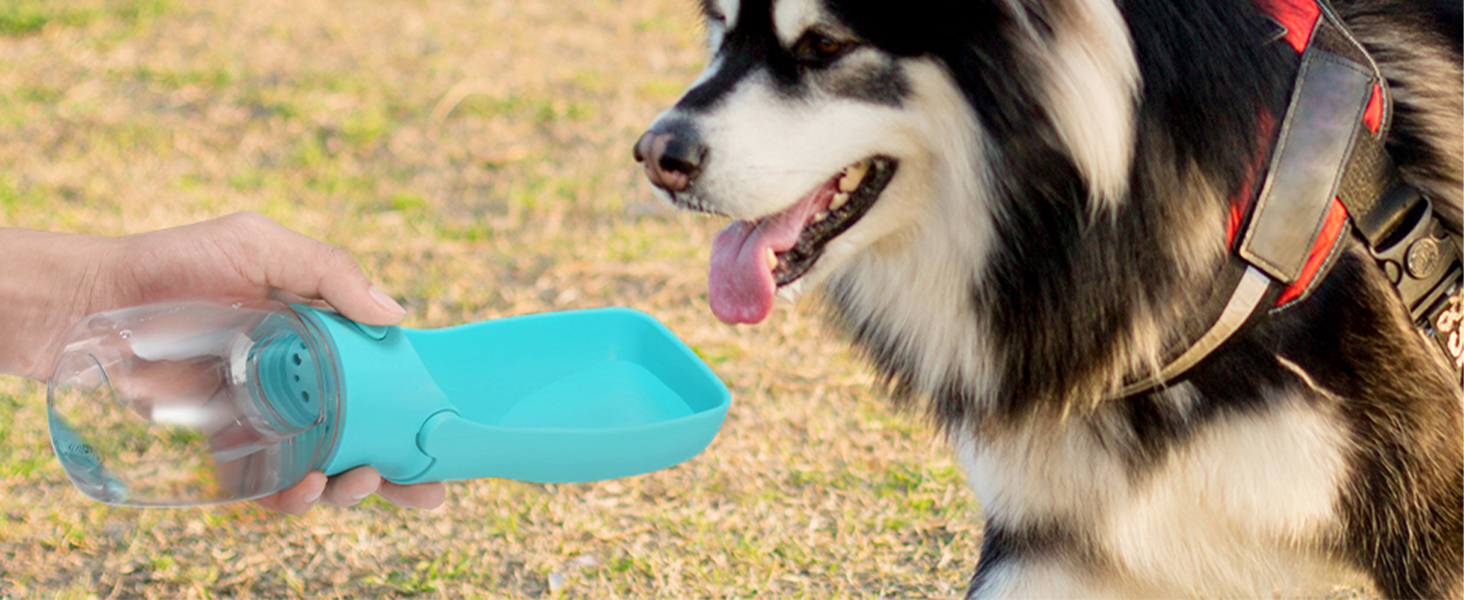 Водяна пляшка для собак на прогулянку 570мл або 350мл. Пляшка-поїльник для цуценят, малих, середніх та великих собак. Колір: блакитний