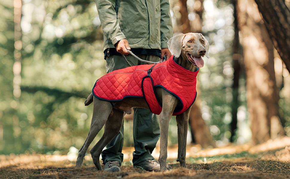 Зимовий теплий одяг для собак - Вітростійка жилетка-світловідбивач для собак, теплий зимовий одяг для собак | Для активного відпочинку: прогулянки, пікніки, кемпінг, катання на лижах, міські прогулянки