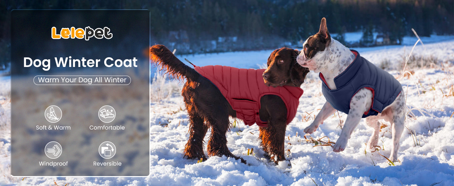 Зимовий теплий водонепроникний одяг для собак великих порід Lelepet, червоний XL