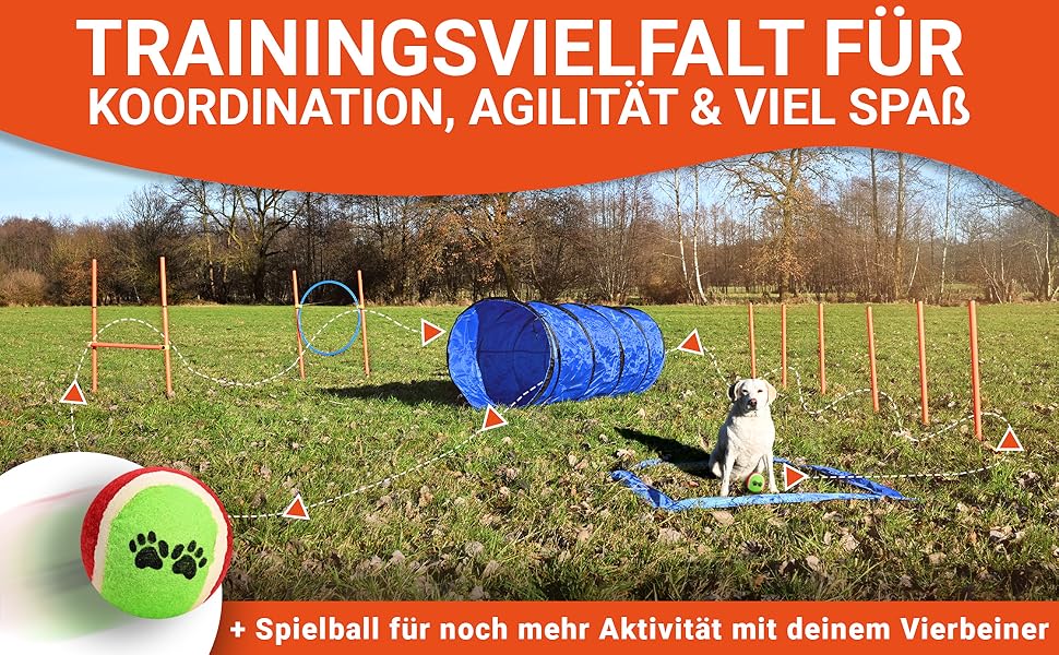 Набір для дресирування собак PfotenGUT® Agility Set [11 предметів] - універсальний набір для аджиліті з тунелем, слаломом та іншим обладнанням для тренування та спорту з собаками - з аксесуарами та сумкою для транспортування (Великий)