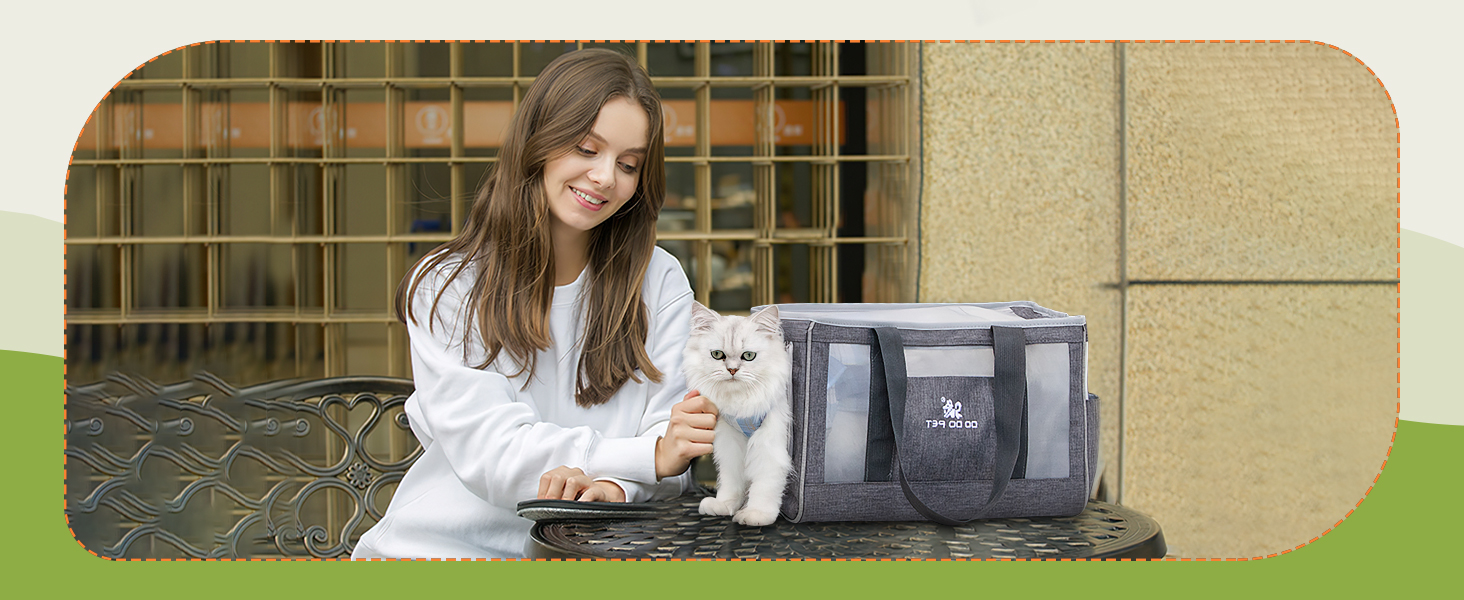 Переноска для кота та собаки ALLSOPETS: складана, дихаюча, з міцним килимком. Ідеальна для маленьких собак та котів, подорожей, кемпінгу та прогулянок. Сіра.