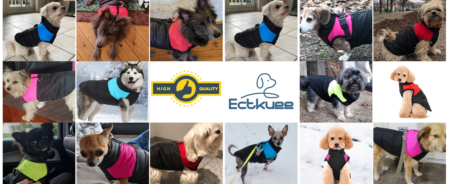 Зимовий теплий одяг для собак, водонепроникний зимовий пуховик для собак, куртка для тварин, XXL, блакитний