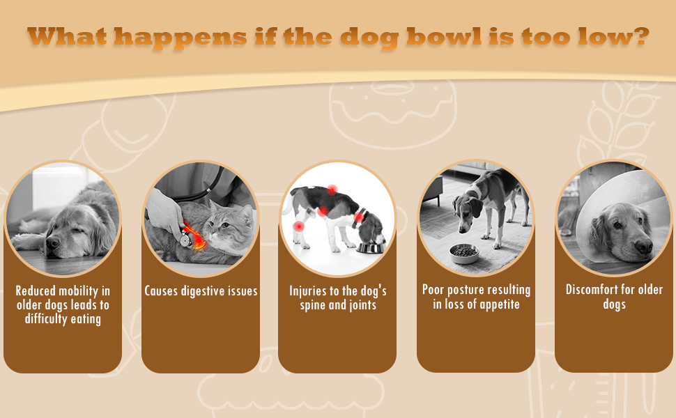 Підвищена годівниця для собак з підставкою, регульована висота, годівниця для маленьких собак та котів, міцна годівниця з бамбука з 2 керамічними мисками та килимком для тварин