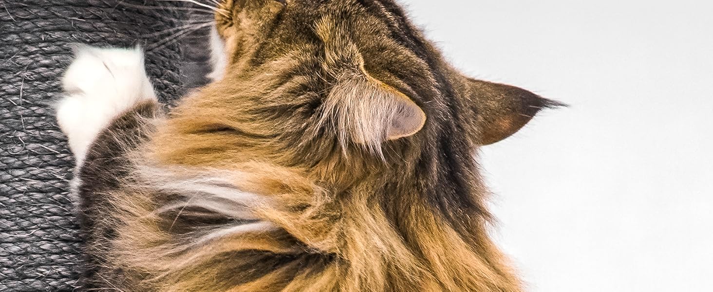 Дряпка для котів Petrebels Maine, 90 см, з міцною основою та сизалевим стовпчиком, 40 x 40 x 90 см, колір off-white