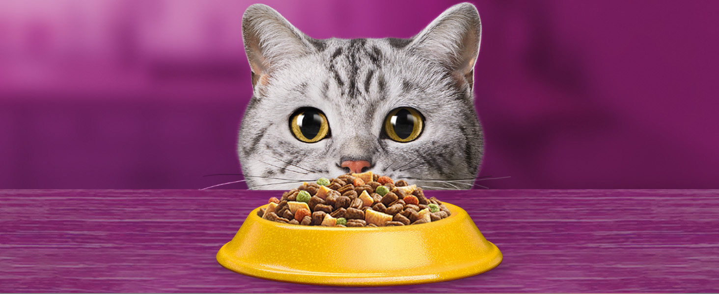 Сухий корм для дорослих котів Whiskas з тунцем, 7 кг (набір з 3 пакувань по 3.8 кг)