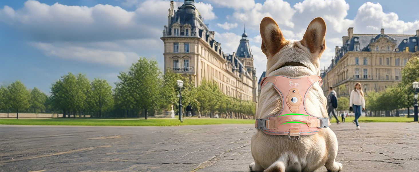 Шлейка для собак TSPRO з тримачем AirTag, регульована нагрудна стрічка для маленьких собак, з зручною ручкою, міцна та світловідбиваюча для прогулянок, бігу, тренувань (Зелена, розмір 2) Розмір 2 (обхват шиї 28.5-42 см, обхват грудей 42-53 см) Зелений