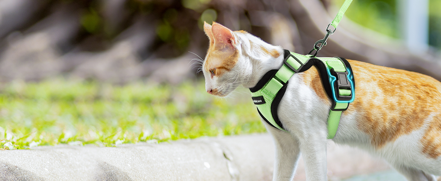 Шлейка для кота Rabbitgoo з повідком, м'яка, безпечна, регульована, зелена, розмір M (XXS, 1 шт.)