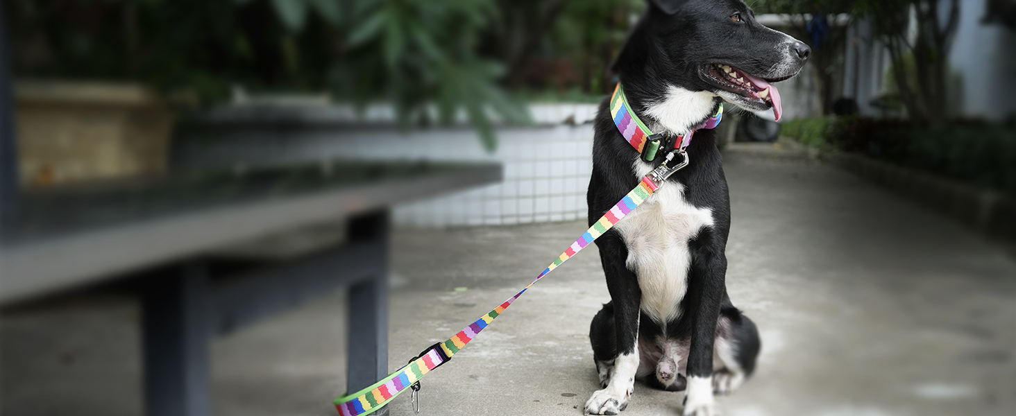 TSPRO Преміум нашийник для собак з ручкою, тактичний, товстий, регульований, для середніх та великих собак (Помаранчевий L), розмір ручки L, регулювання 44.5-62.2 см