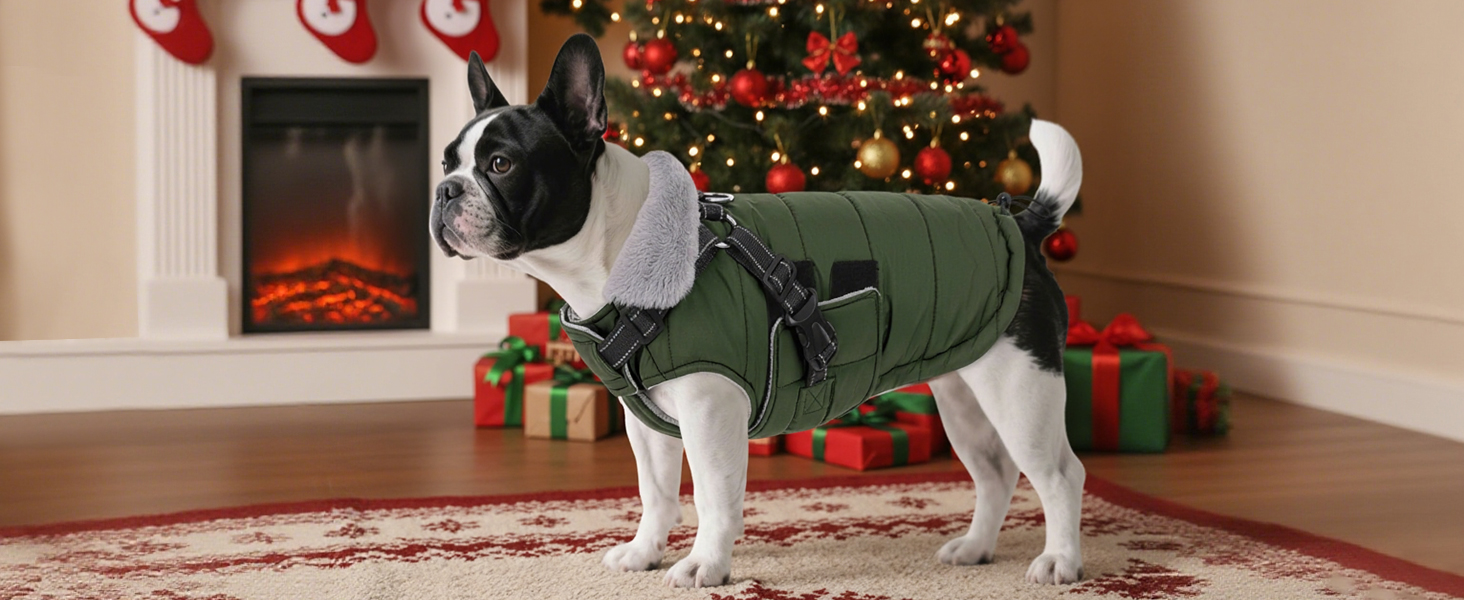 Зимовий теплий накид для собак ASENKU (S, M, L, XL) – водонепроникний, вітронепроникний, з відбиваючими елементами, з нагрудником, для маленьких, середніх та великих собак, зелений