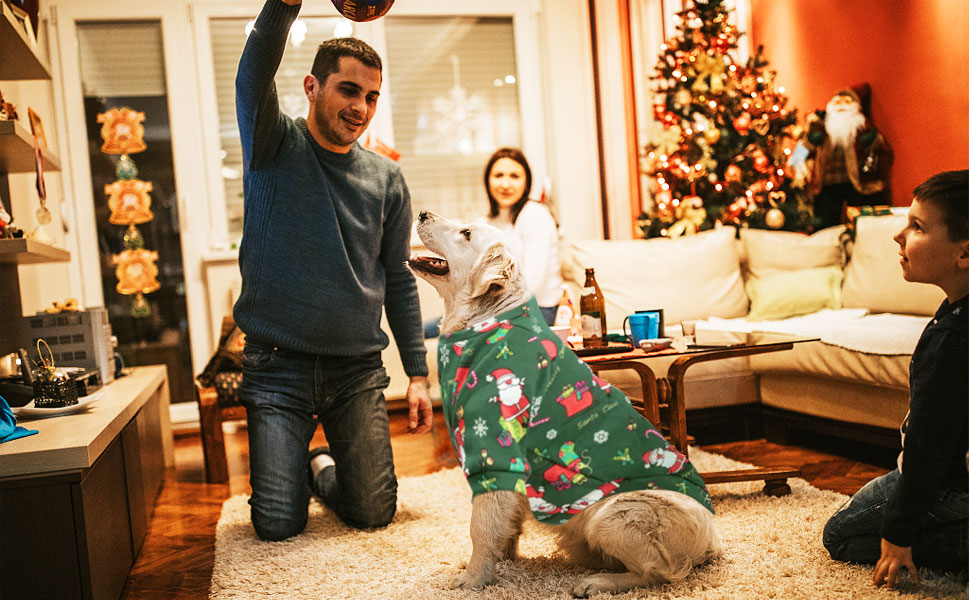 Пуловери для собак на Новий рік, 2 шт., розмір для собак з котиком, тепла зимова одяг для домашніх тварин, Small (Обхват грудей: 50 см, Довжина спини: 40 см)