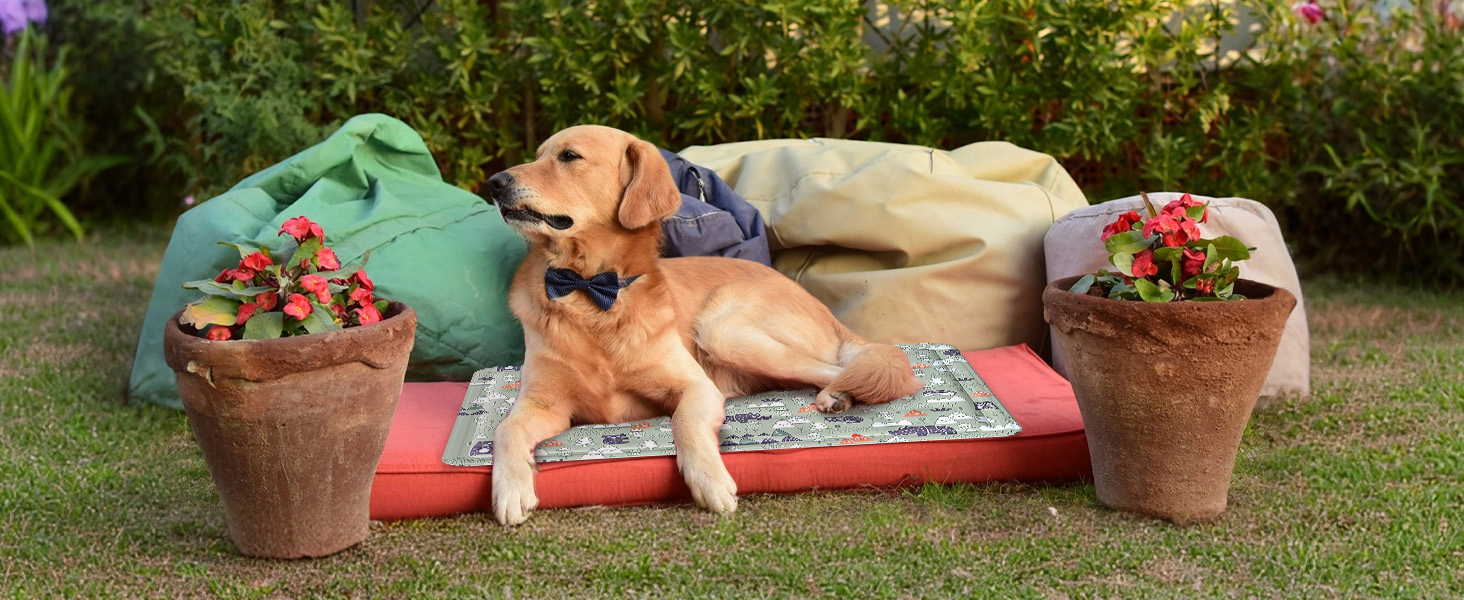 Кühlmatte Hunde: Охолоджуючий килимок для собак та котів 50x65 см. Самоохолоджуючий, водовідштовхуючий, з нетоксичним гелем. Для дому та вулиці.
