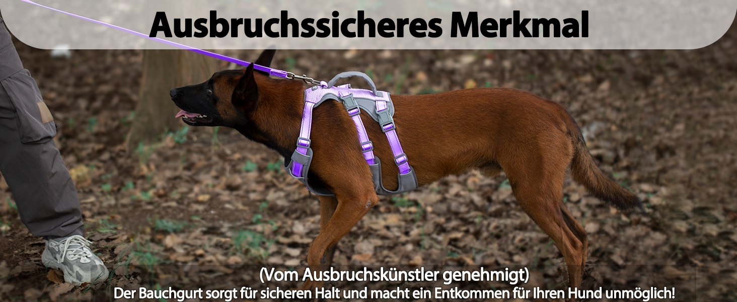 Шлейка Huntboo для собак - антистресова, з ручкою, для малеких, середніх та великих порід (S, M), лавандова