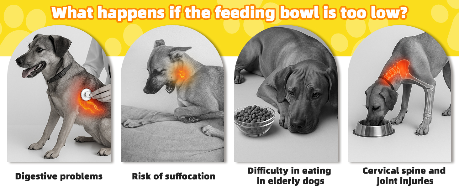 Підвищений годівниця для собак, регульована висота, великі породи - миска для води + миска протиковзаюча + дорожня миска & миска для корму - килимок, неслизька станція для годування середніх/великих собак