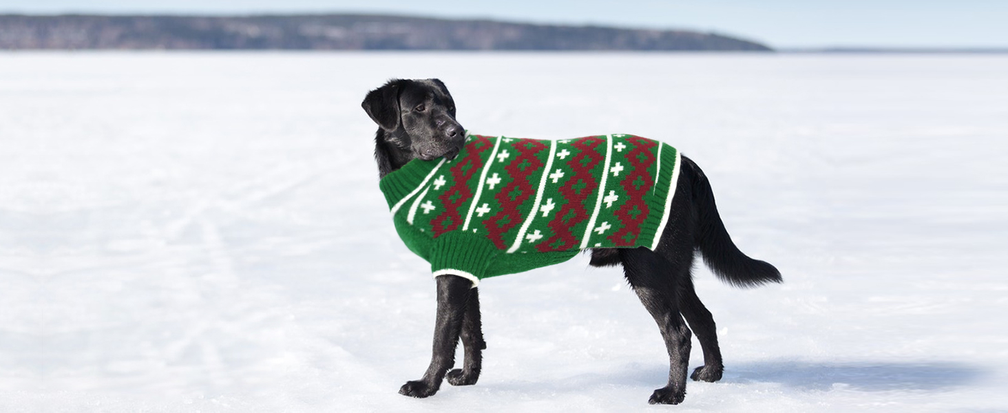 Теплий в'язаний зимовий пуловер для собак великих порід Katzinst | Зимовий пуловер для собак, Лабрадор, Доберман (Абрикосовий, 3XL)