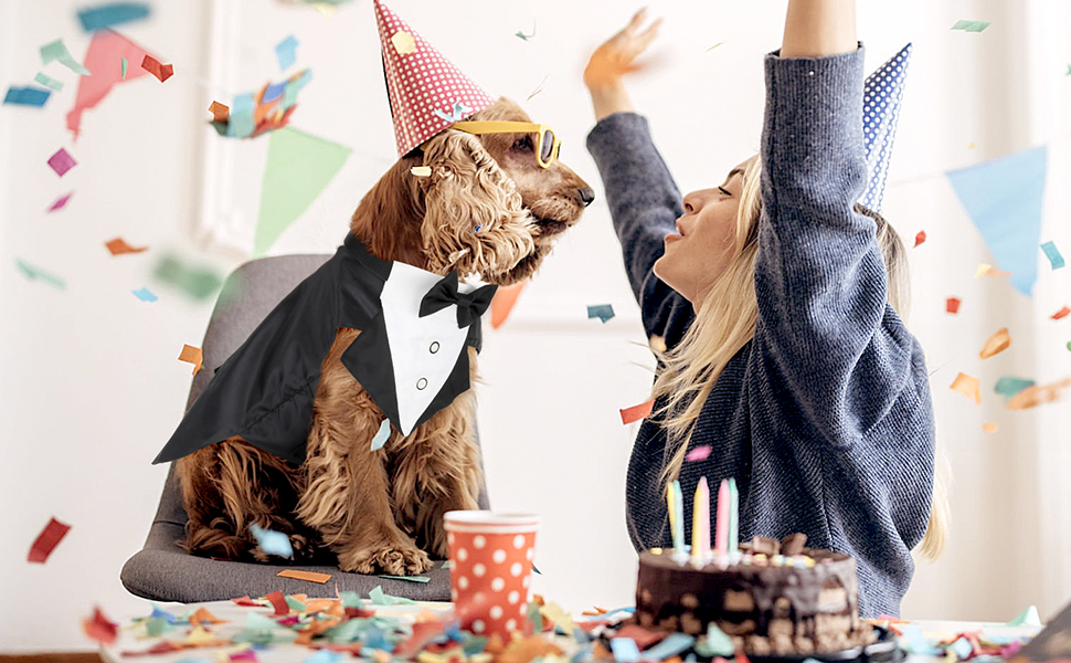 Елегантний костюм для собак Illumifun з краваткою та банданою, комплект для святкування, смокінг, жилет, сорочка, костюм для домашніх тварин знімний комірець (M)