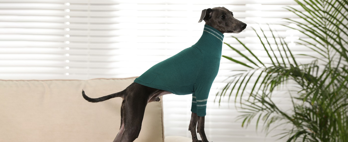 Светр для грейхаунда, теплий костюм для віндхаунда, костюм з високим коміром для маленьких собак, блакитний, розмір M