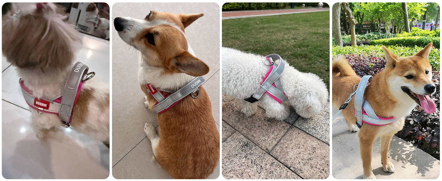 Нашийник для собак середніх та маленьких порід з повідком, кольоровий, сітка, м'який, з ручкою та кільцем, світловідбиваючий, легкий, чорно-сірий, розмір M