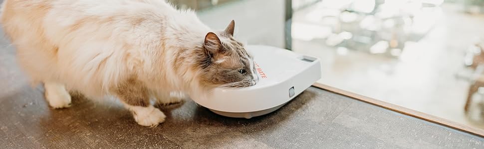 Автоматична годівниця для котів та малих собак Cat Mate C300 з цифровим таймером на 3 прийоми їжі, для сухого та вологого корму (до 330 г), біла